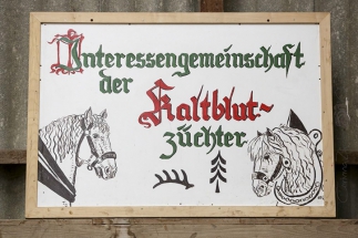 Hengstschau Langenau 2016 IMG_4363
