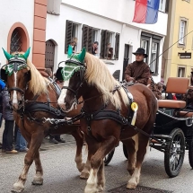 FB_IMG_1548001904308-1